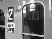 IMG 7941