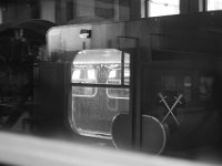 IMG 7943