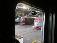 IMG 7958