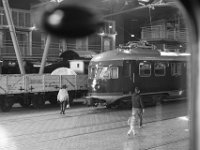 IMG 7961