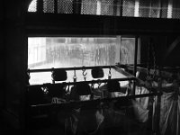 IMG 7962