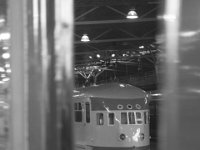 IMG 7985